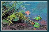 Wasser 20